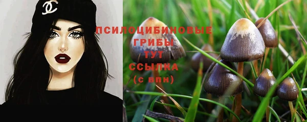 СК Мегион