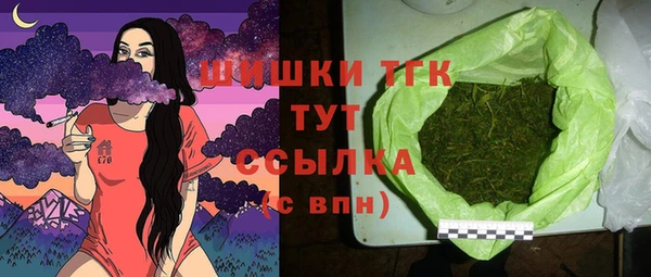 спиды Чекалин