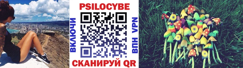 дарнет шоп  Завитинск  Псилоцибиновые грибы мухоморы 